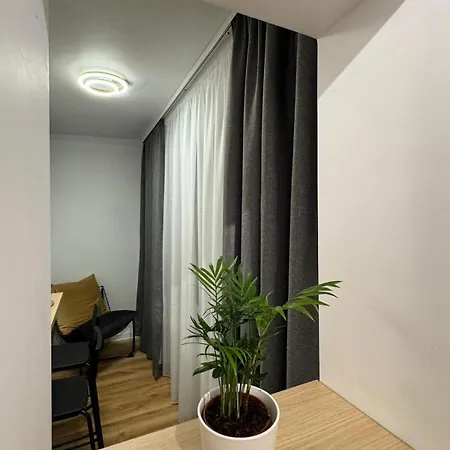 Lumiere ティミショアラ