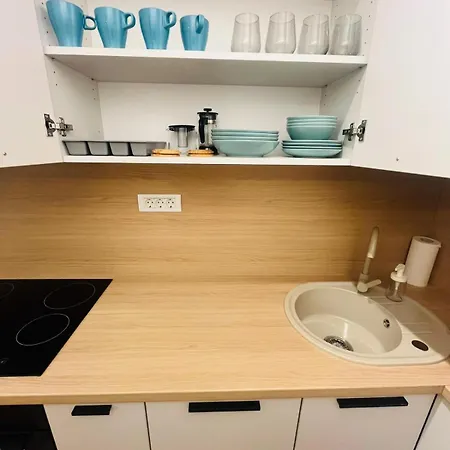 Lumiere ティミショアラ