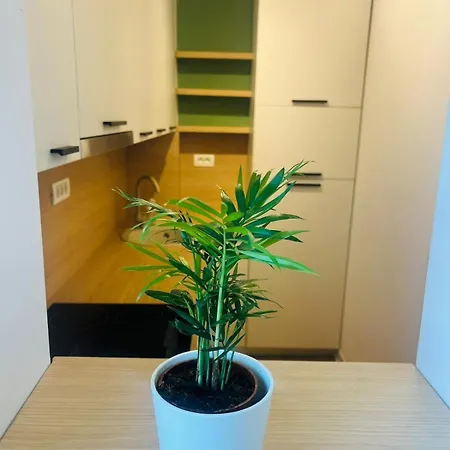 דירה Lumiere טימישוארה