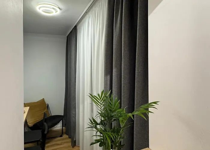 Lumiere ティミショアラ