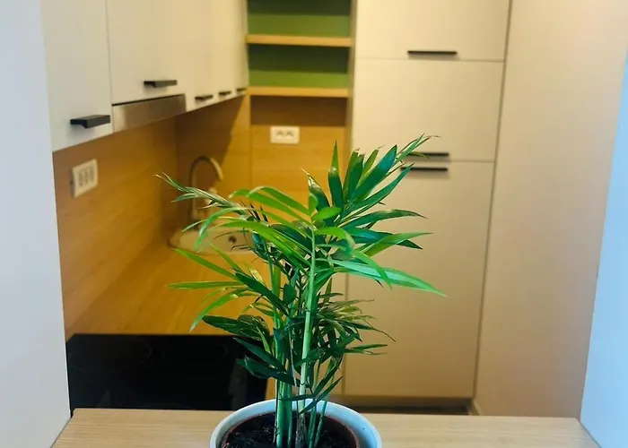 アパート Lumiere ティミショアラ